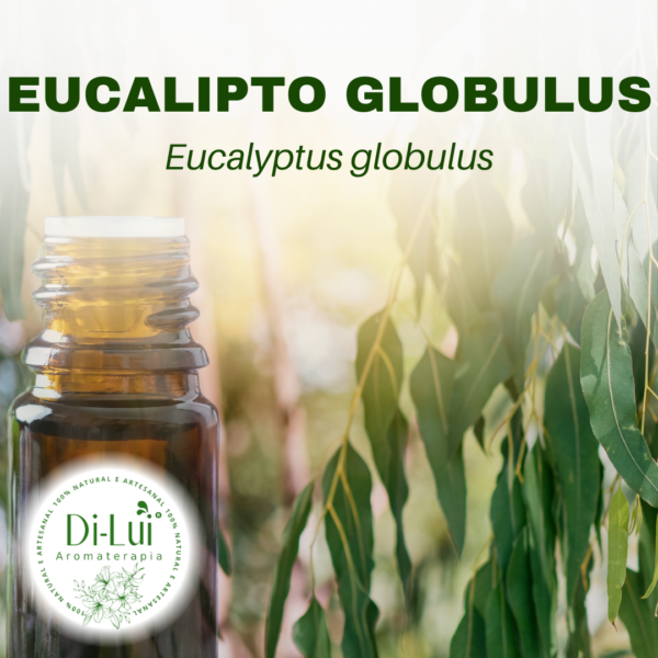 EUCALIPTO/ÓLEO ESSENCIAL DE EUCALIPTO GLOBULUS