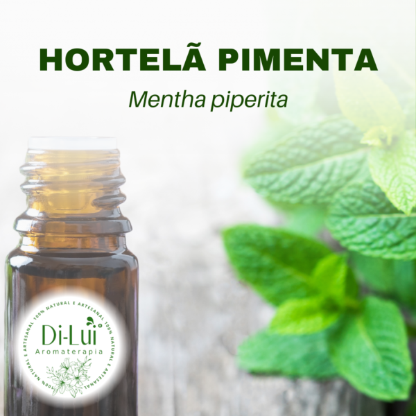 HORTELÃ PIMENTA/ÓLEO ESSENCIAL DE HORTELÃ PIMENTA