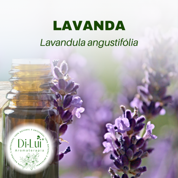 LAVANDA/ÓLEO ESSENCIAL DE LAVANDA