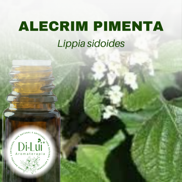 ALECRIM PIMENTA/ÓLEO ESSENCIAL DE ALECRIM PIMENTA