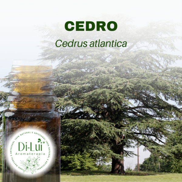 CEDRO/ÓLEO ESSENCIAL DE CEDRO