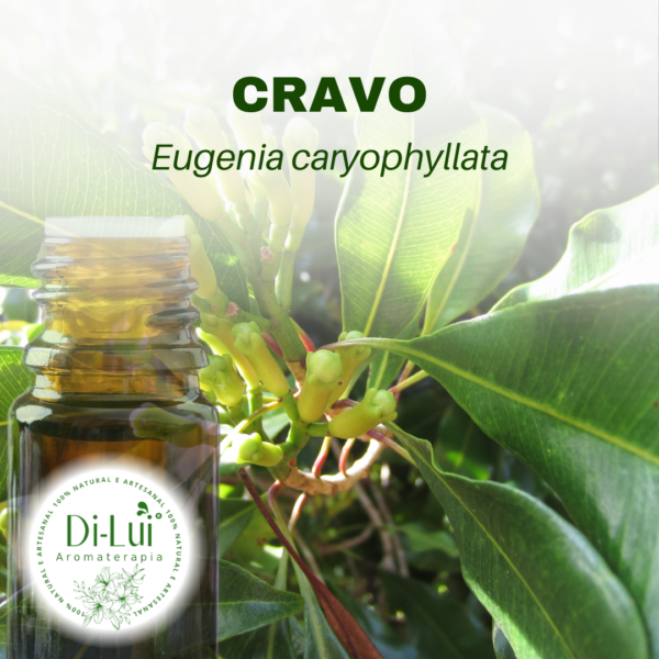 CRAVO/ÓLEO ESSENCIAL DE CRAVO