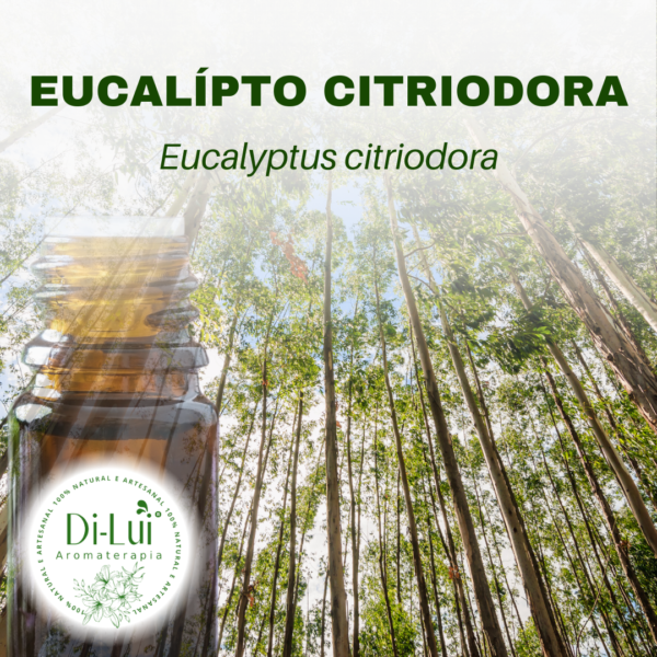 EUCALIPTO CITRIODORA/ÓLEO ESSENCIAL DE EUCALIPTO CITRIODORA