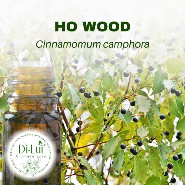 HO WOOD/ÓLEO ESSENCIAL DE HO WOOD