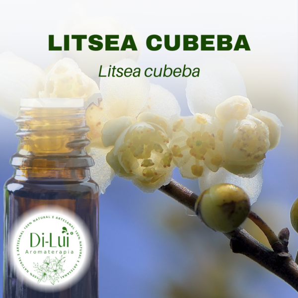 LITSEA CUBEDA/ÓLEO ESSENCIAL DE LITSEA CUBEDA