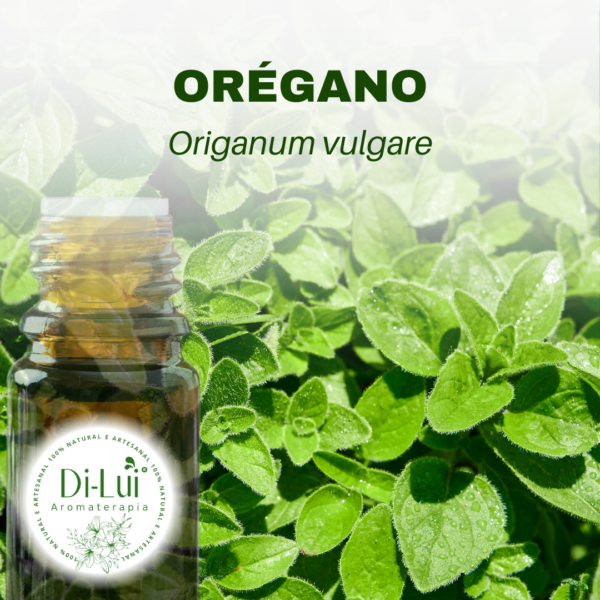 ORÉGANO/ÓLEO ESSENCIAL DE ORÉGANO
