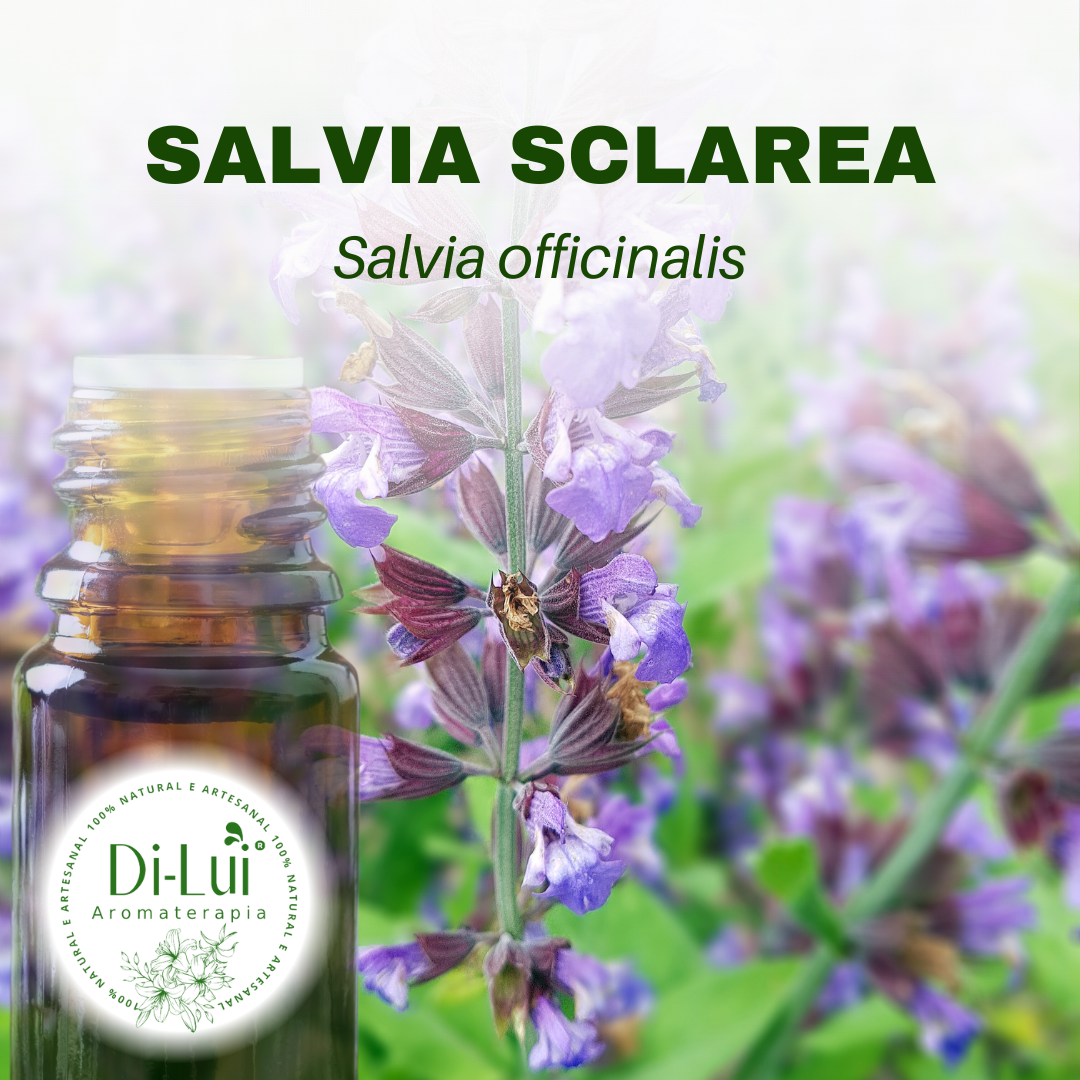 SÁLVIA SCLAREA/ÓLEO ESSENCIAL DE SÁLVIA SCLAREA