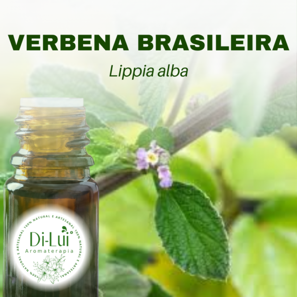 VERBENA BRASILEIRA/ÓLEO ESSENCIAL DE VERBENA BRASILEIRA