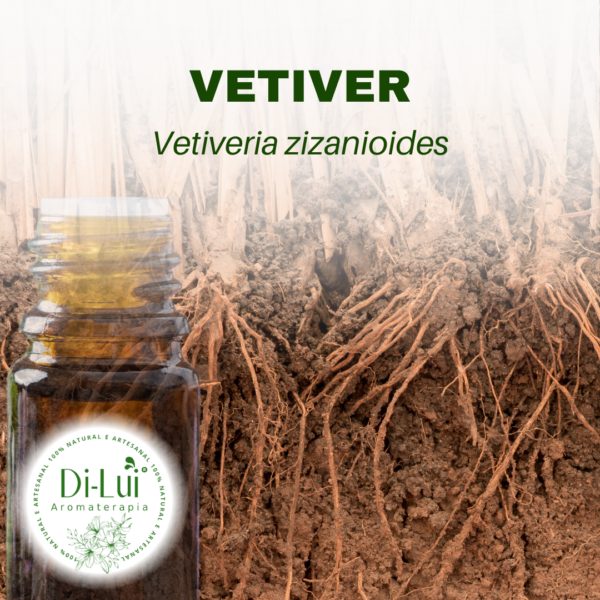 VETIVER/ÓLEO ESSENCIAL DE VETIVER