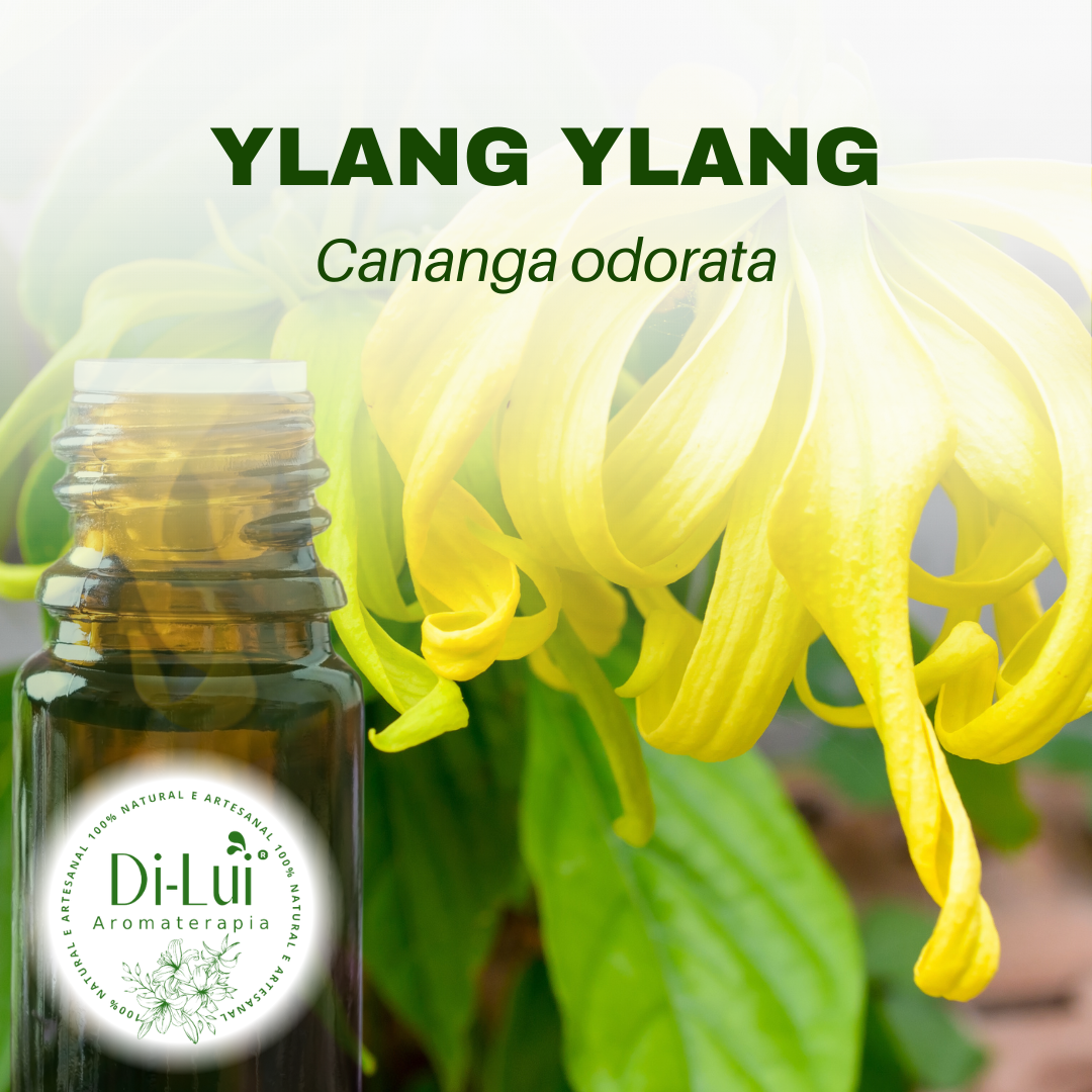 YLANG YLANG/ÓLEO ESSENCIAL DE YLANG YLANG