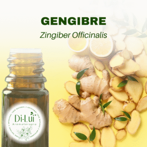 GENGIBRE/ÓLEO ESSENCIAL DE GENGIBRE