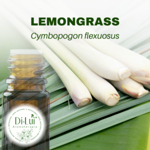 LEMONGRASS/ÓLEO ESSENCIAL DE LEMONGRASS