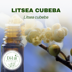 LITSEA CUBEDA/ÓLEO ESSENCIAL DE LITSEA CUBEDA