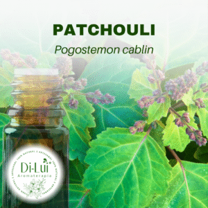 PATCHOULI/ÓLEO ESSENCIAL DE PATCHOULI