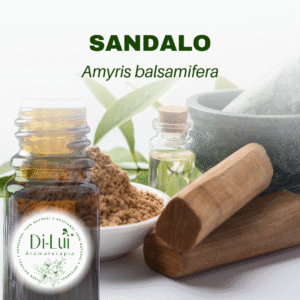 SÂNDALO/ÓLEO ESSENCIAL DE SÂNDALO