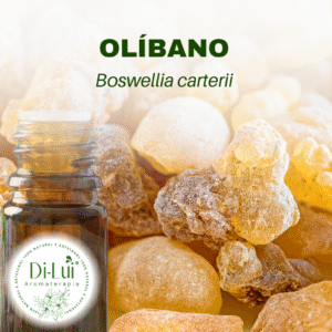 OLÍBANO/ÓLEO ESSENCIAL DE OLÍBANO