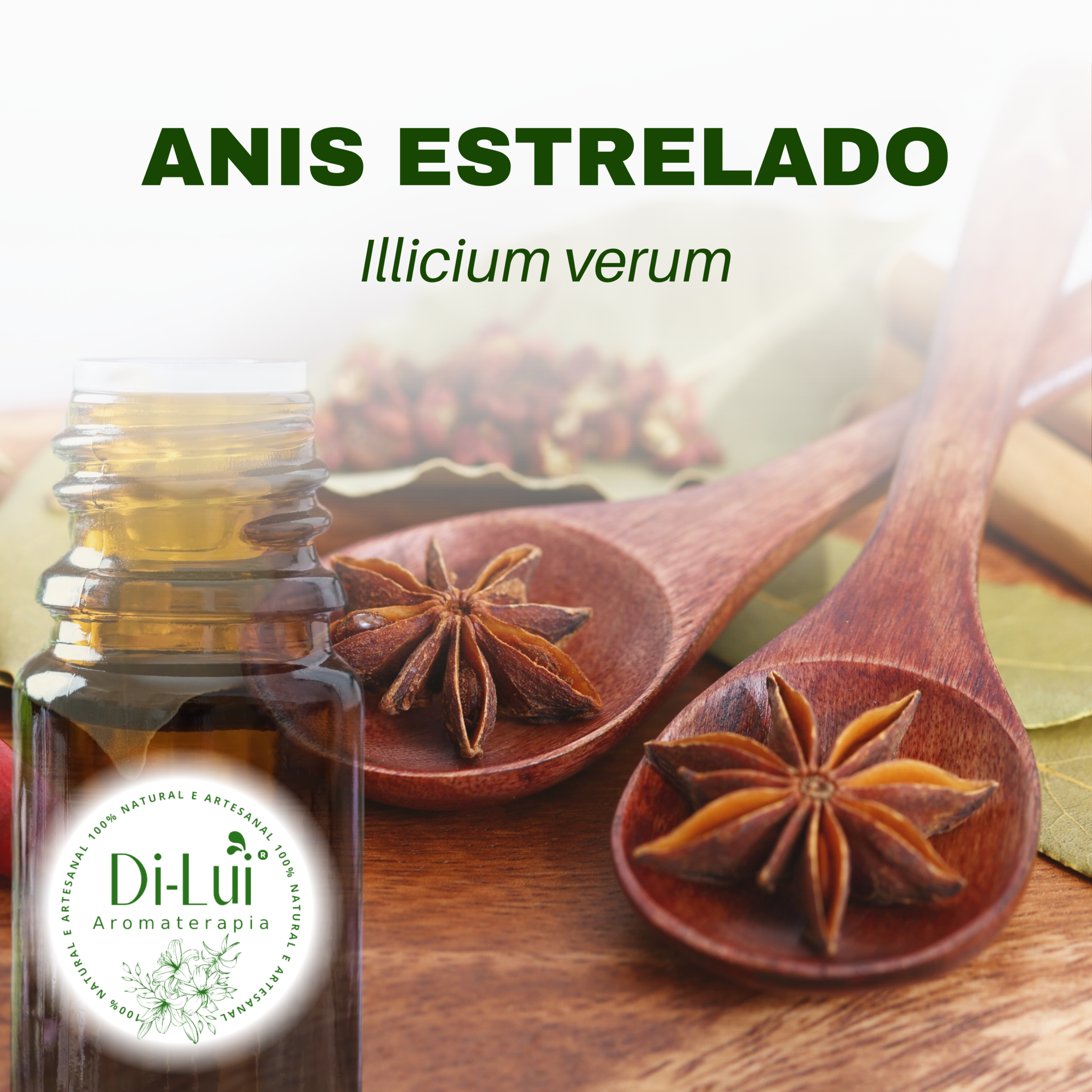 CAPA ANIS